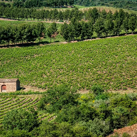 Relais Abbazia Santa Anastasia & Winery Farm stay Castelbuono (Sicily)