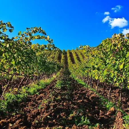 Relais Abbazia Santa Anastasia & Winery *