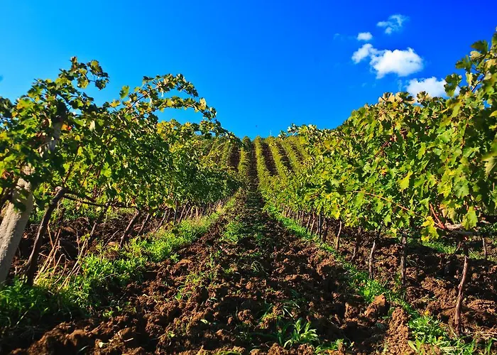 Relais Abbazia Santa Anastasia & Winery *